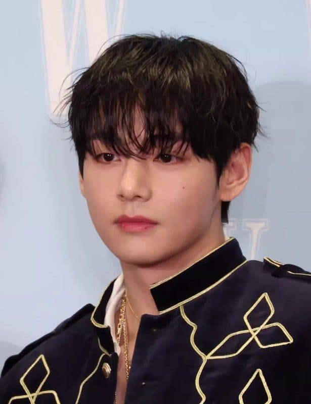 V (BTS)